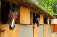 free Deepdale stable construction quotes
